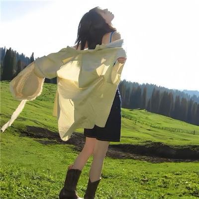 麒麟之翼